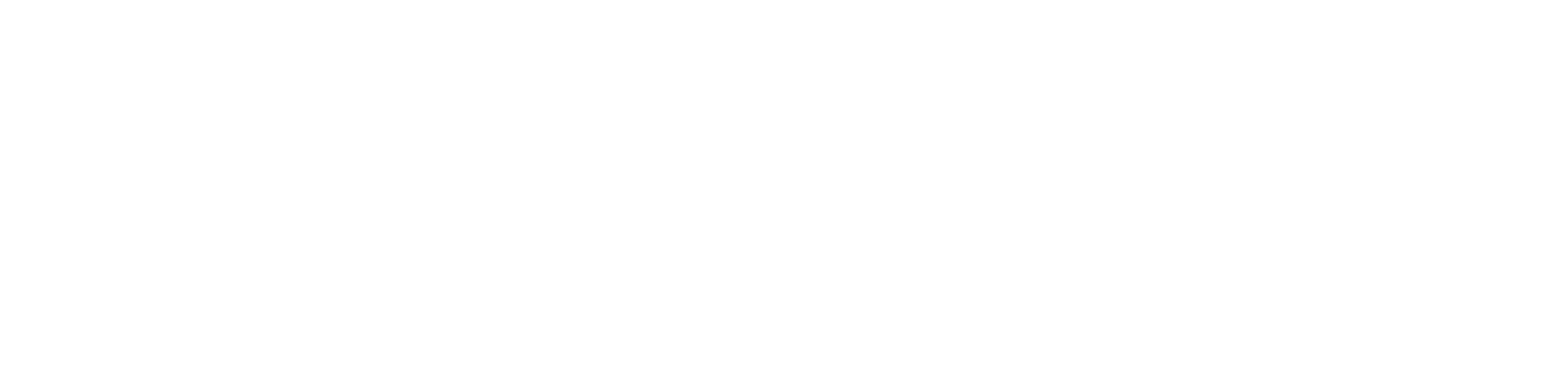 Ballyhoo Hospitality logo